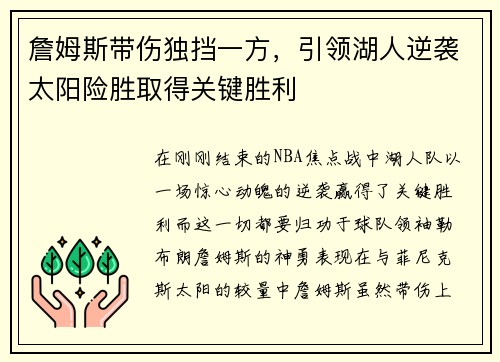 詹姆斯带伤独挡一方，引领湖人逆袭太阳险胜取得关键胜利